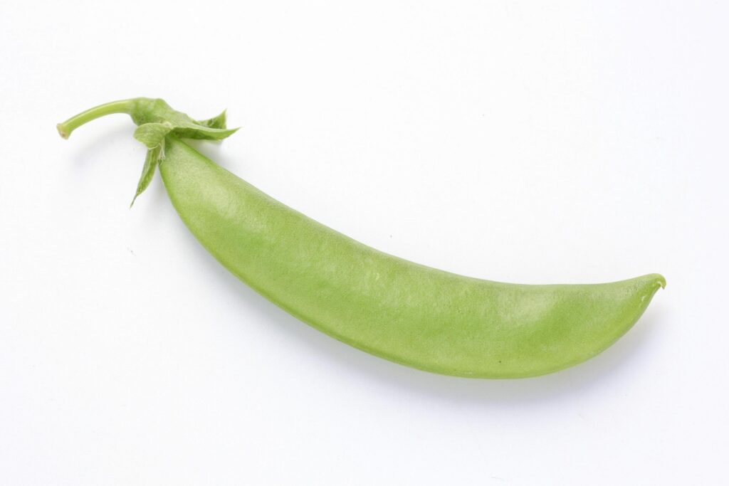 Pea on white background Stock Free