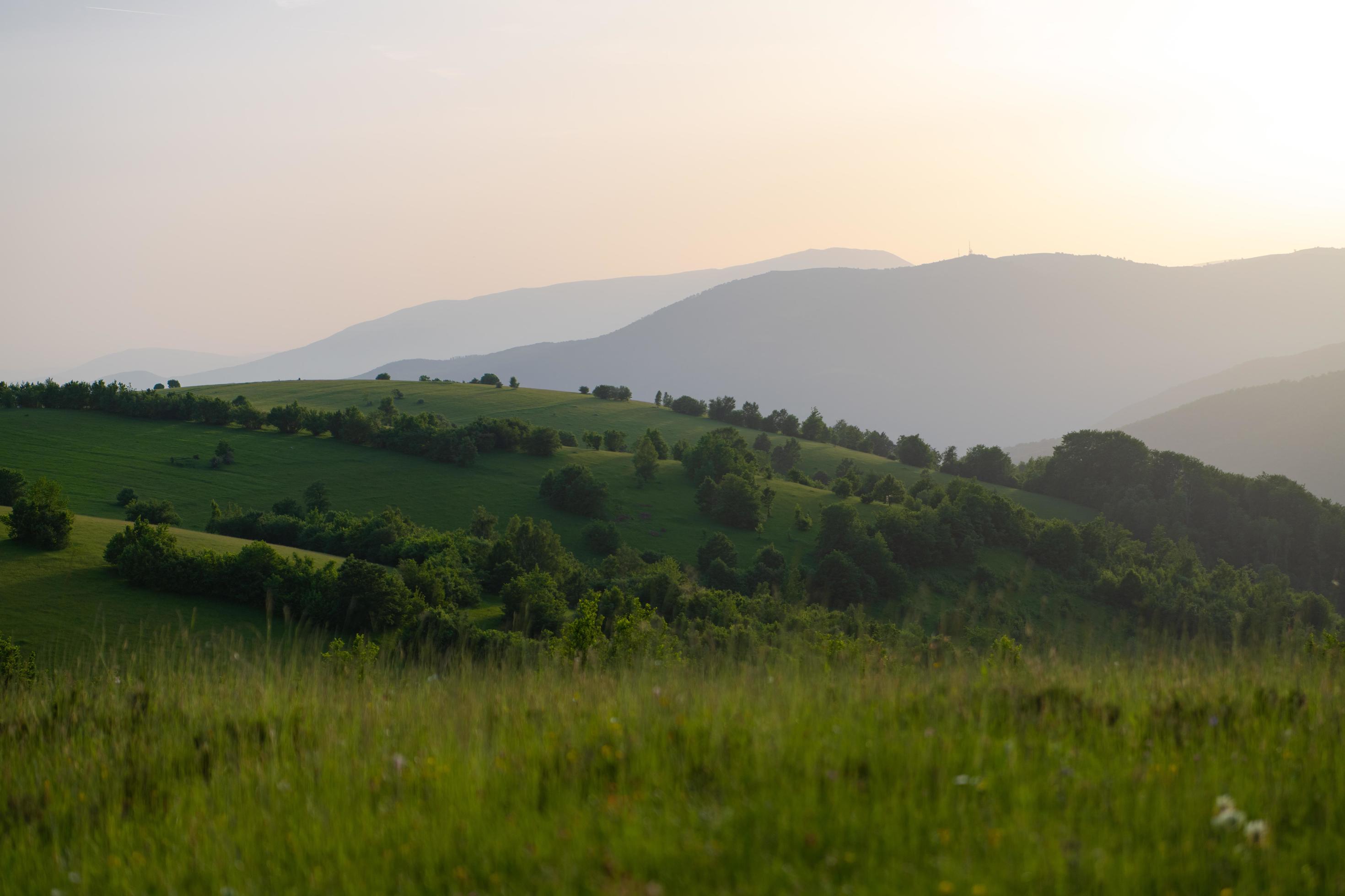 landscape nature summer Stock Free