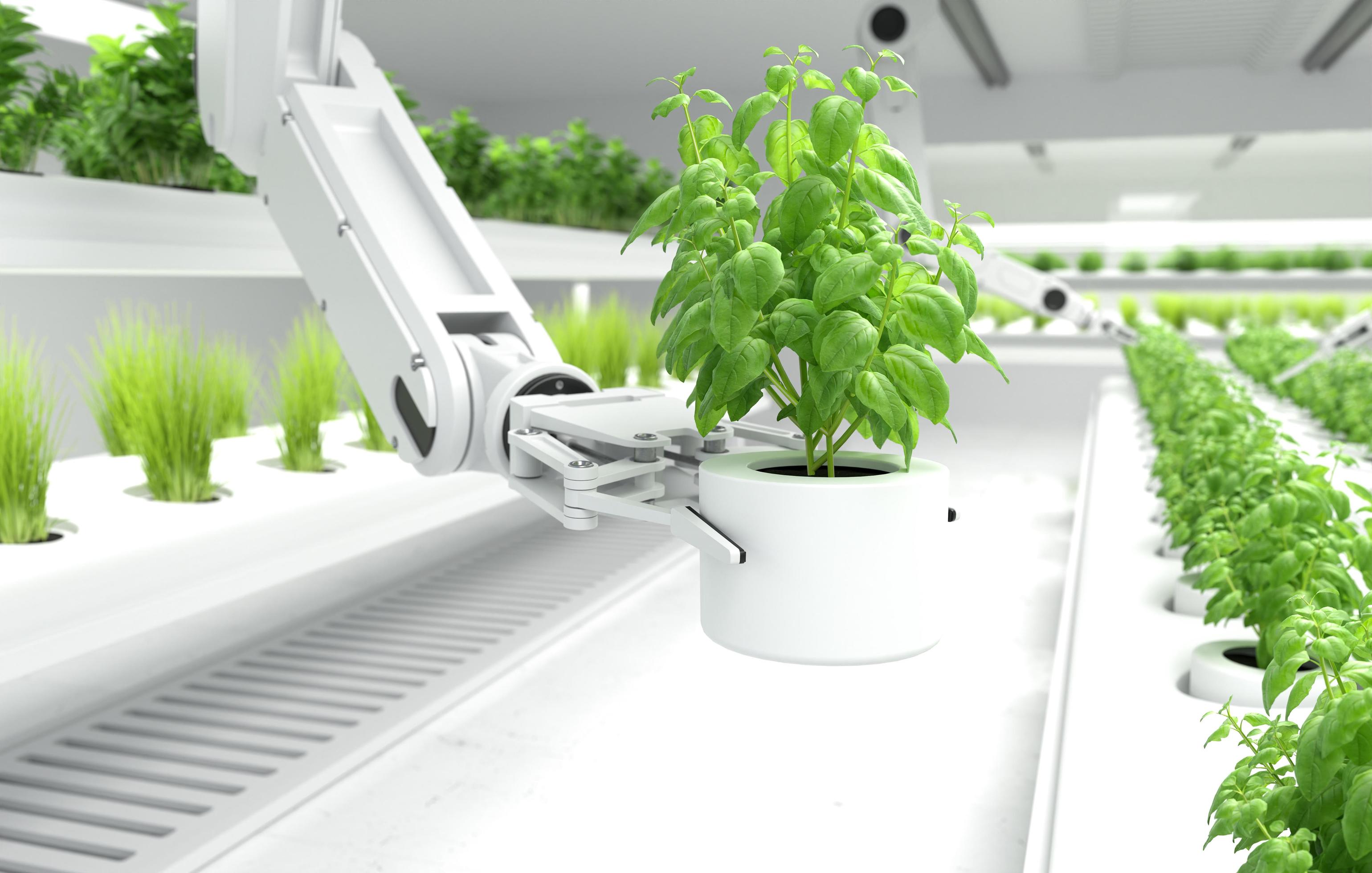 Smart robotic farmers concept, Robot arm picking up organic vegetables. Stock Free