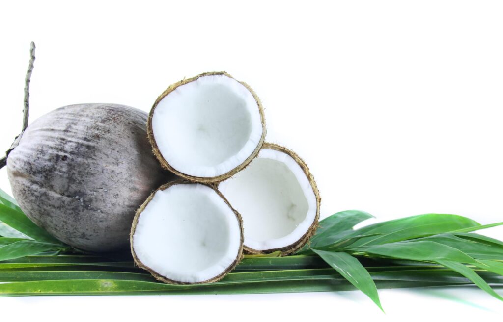 A close-up photograph of a mature and open coconuts isolated on a white background. Stock Free