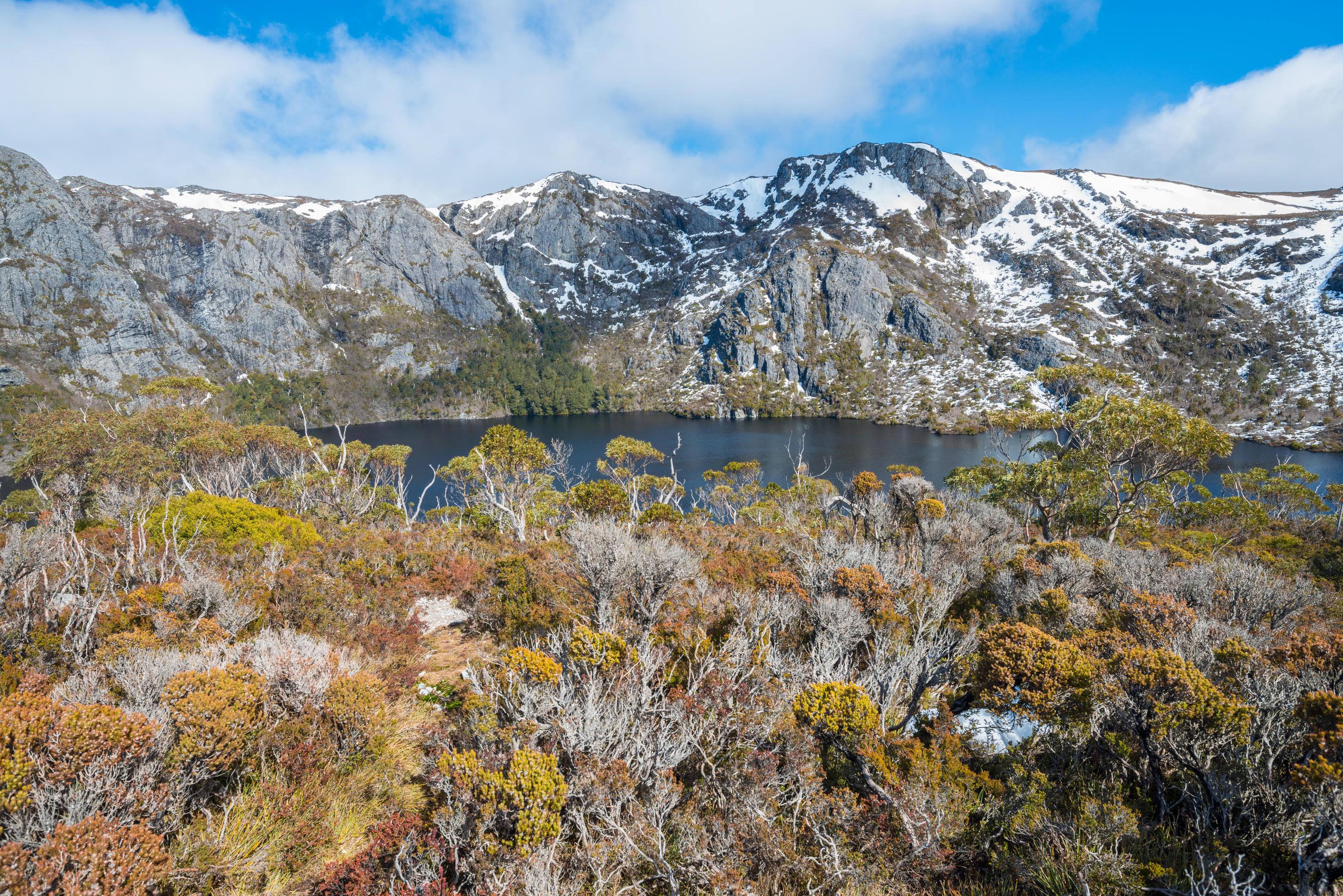 The landscape of the nature on above of Crater lake in Cradle mountain national park of Tasmania state, Australia. Stock Free