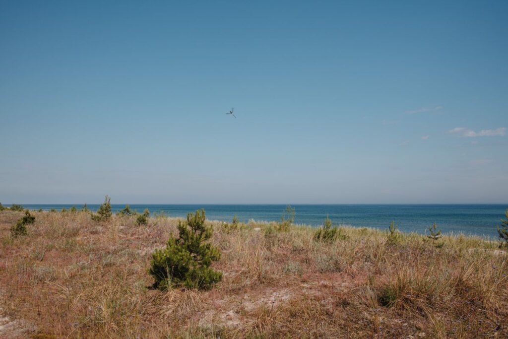 Serenity by the Sea: Coastal Landscapes and Beach Textures Stock Free