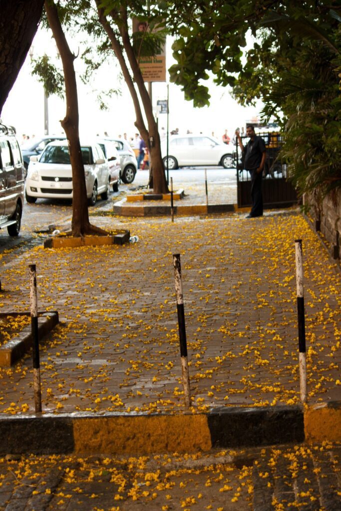 Pavement Footpath Mumbai Stock Free