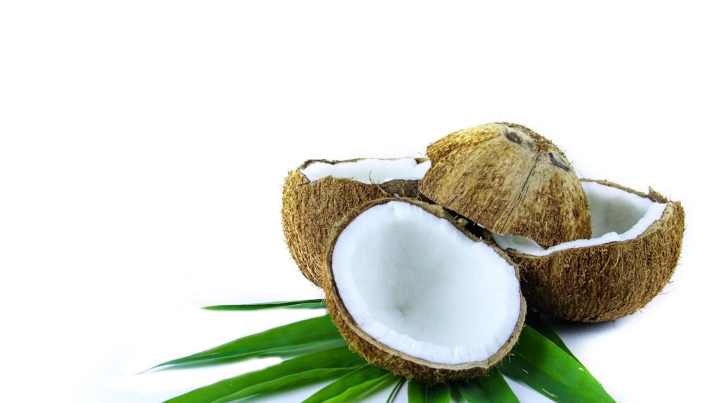 A close-up photograph of a mature and open coconuts isolated on a white background. Stock Free