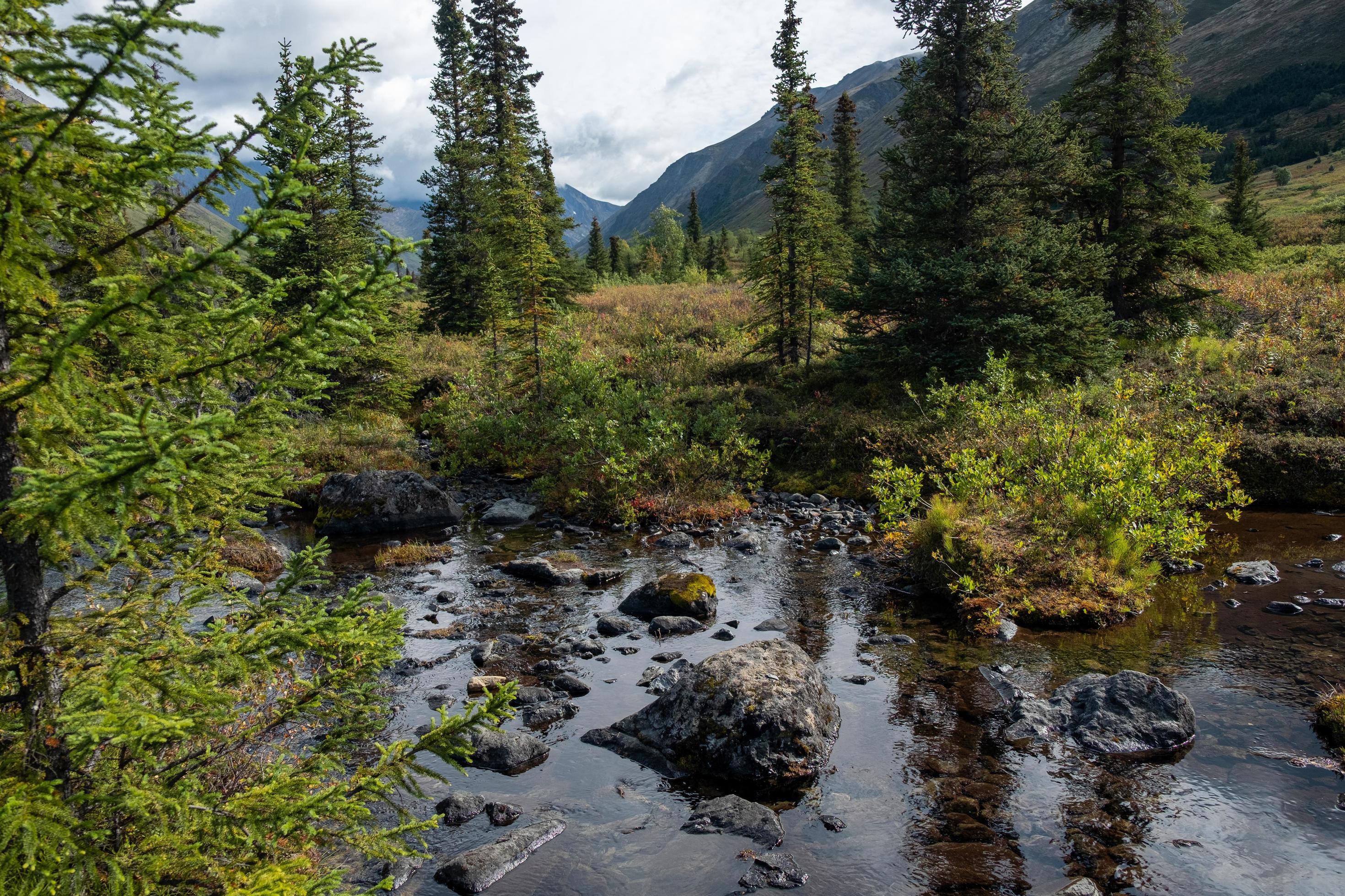 Nature landscape in Alaska Stock Free