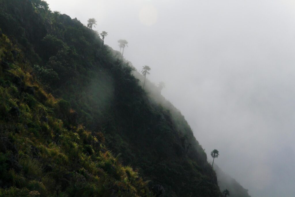 Beautiful landscape natural light in the morning fog on the mountain and the sunrise shining to the mist in forest northern of Thailand. Stock Free