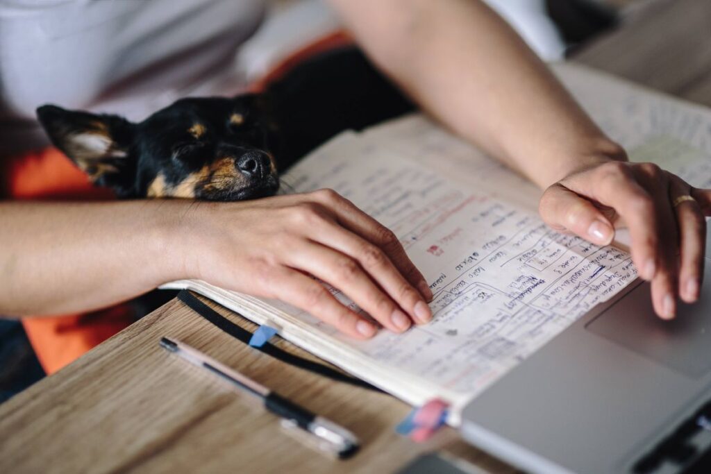 Woman working on her laptop with her dog Stock Free