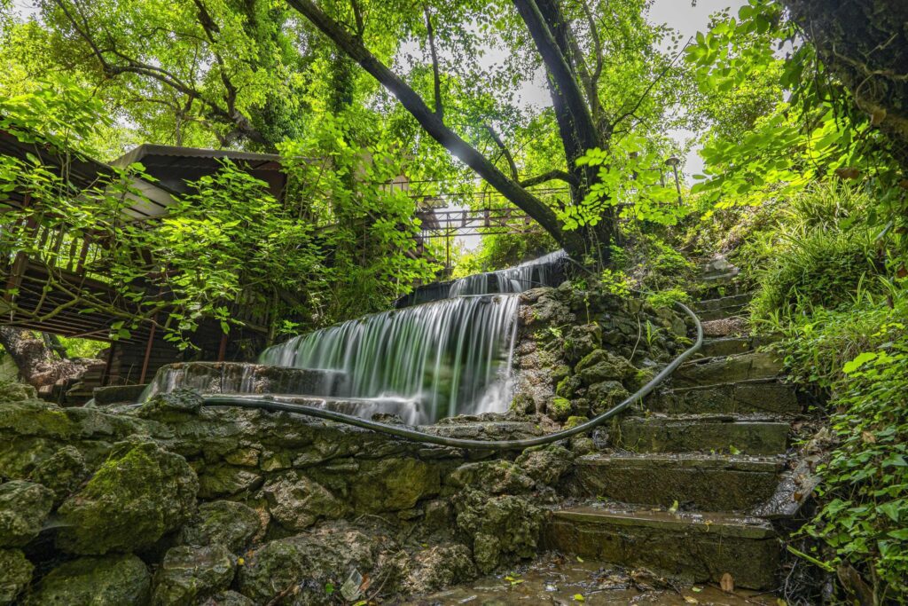 Mountain river stream waterfall green forest Landscape nature plant tree rainforest jungle Stock Free