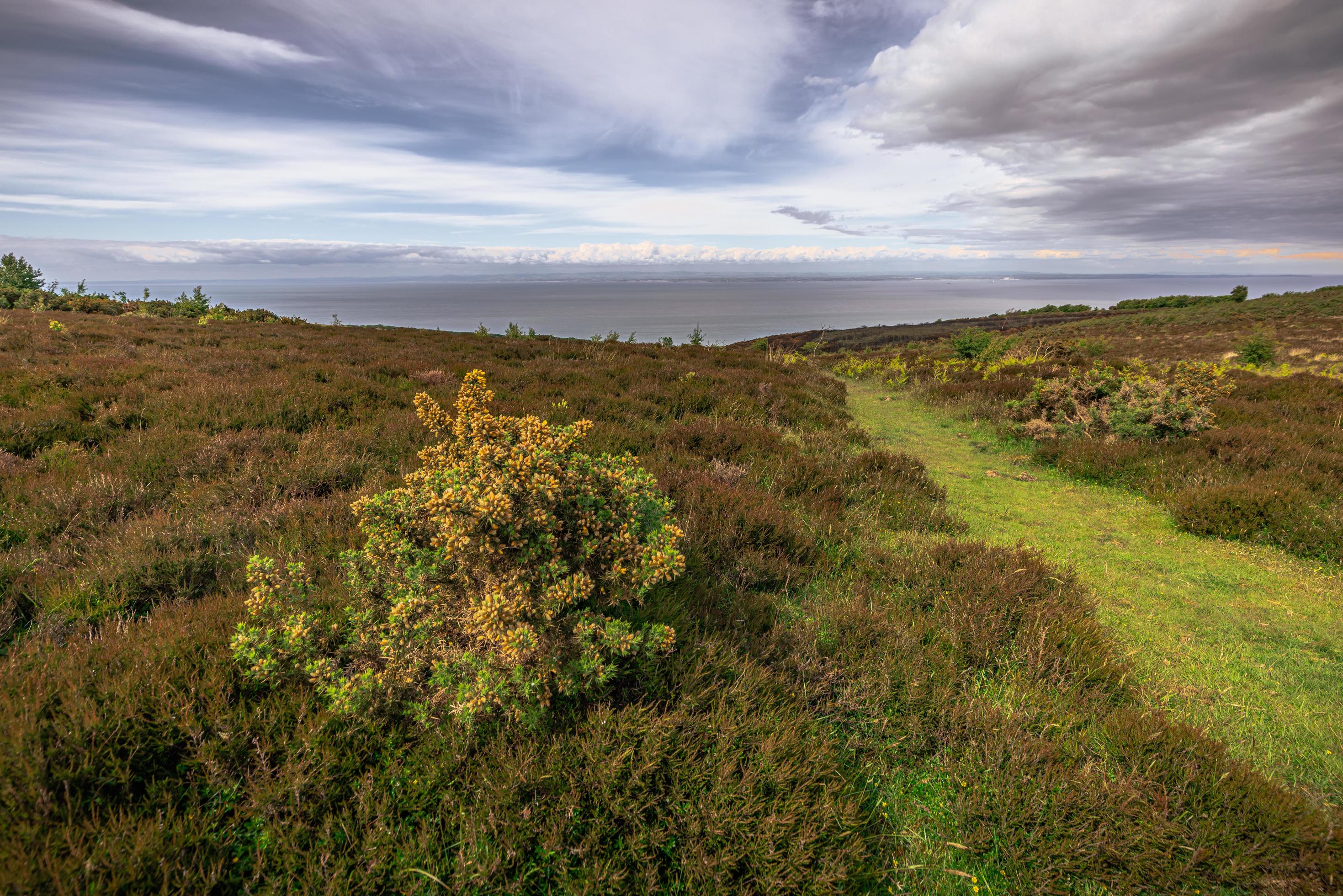 The natural landscape of Cornwall, England. Stock Free