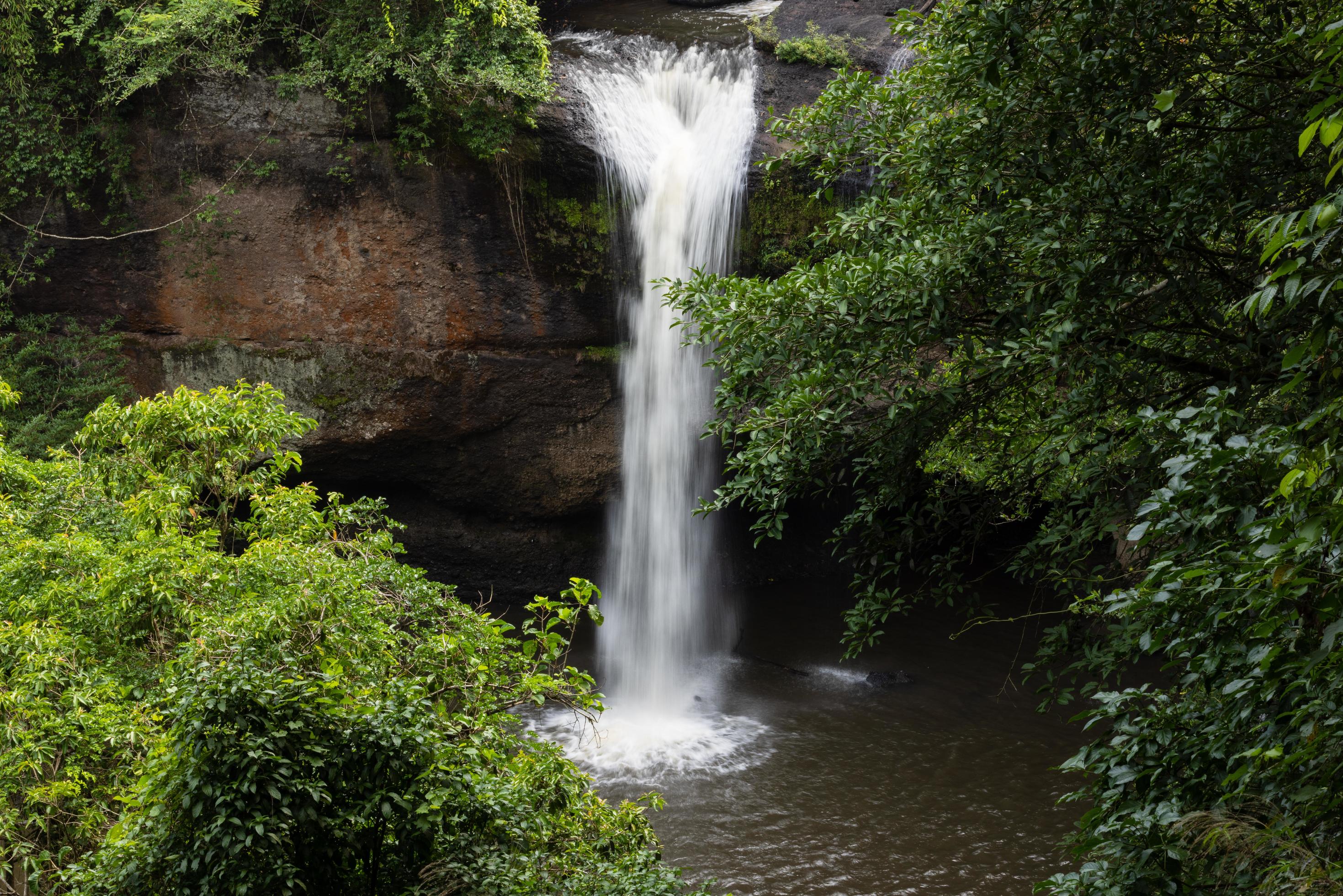 Waterfall in the big forest, beautiful in nature. Stock Free