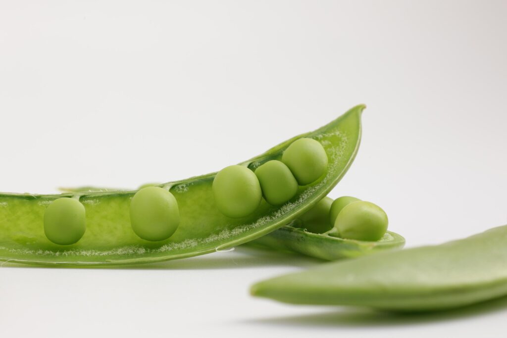 Pea on white background Stock Free