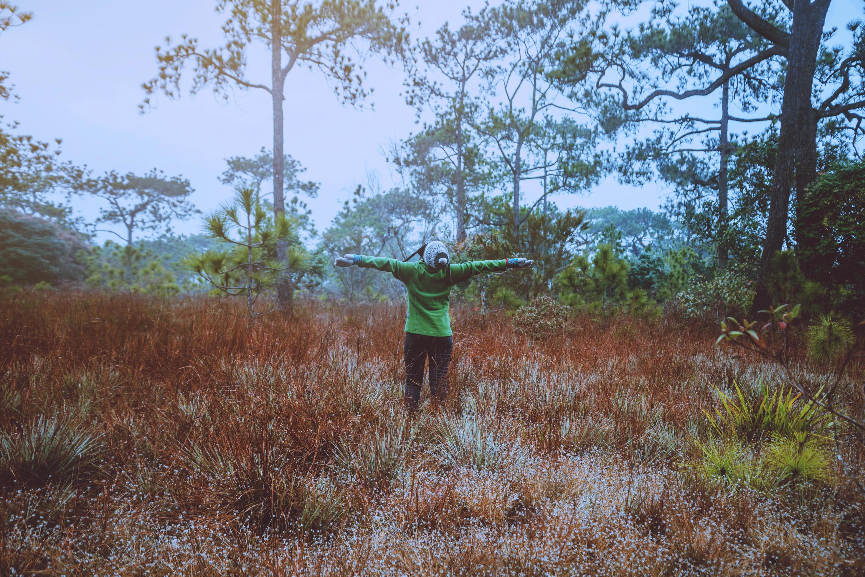 Asian women travel Nature. Travel relax. Touch natural mountain meadow. walk in the forest. Thailand Stock Free