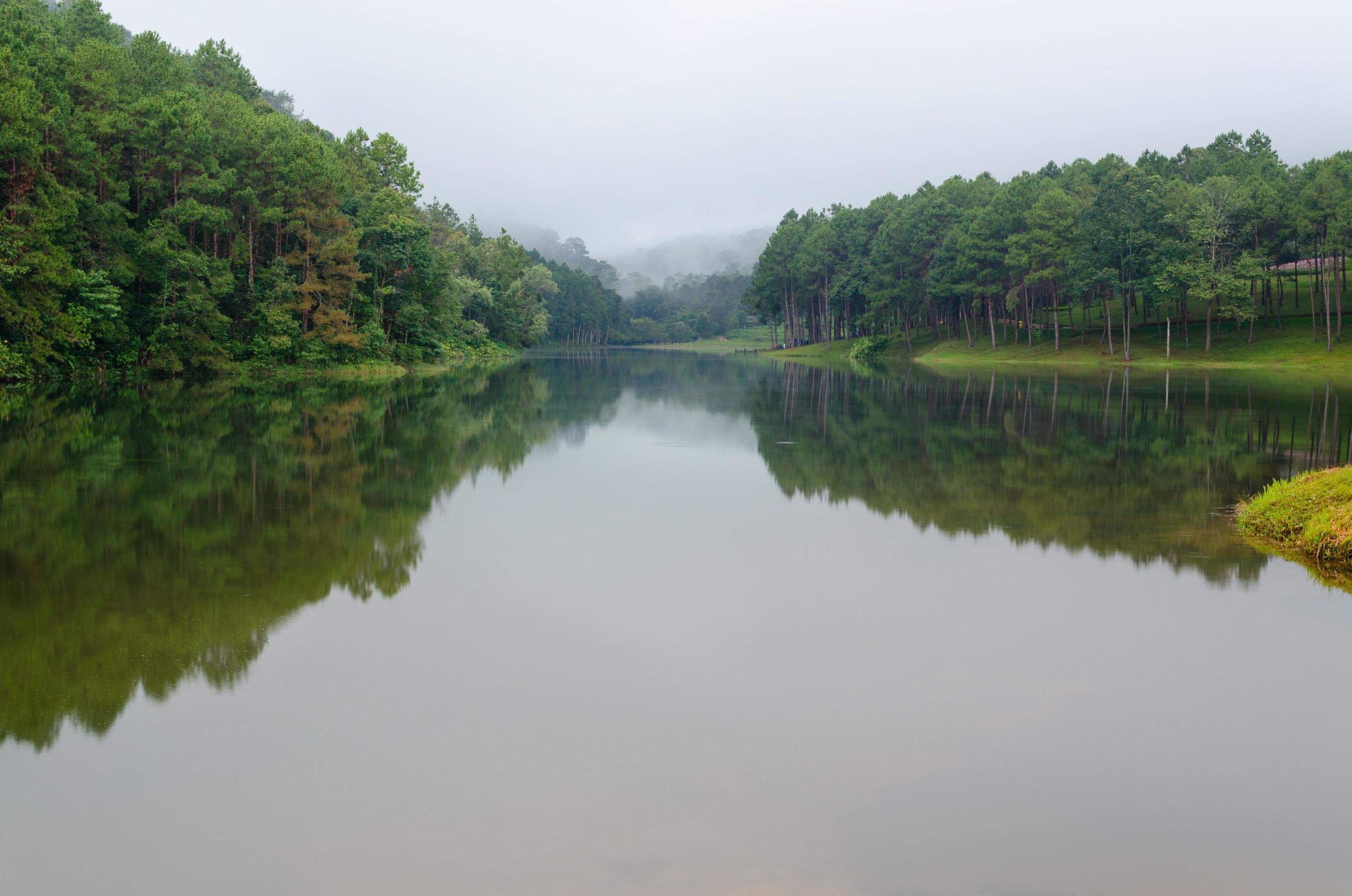 Nature landscape at dawn of lakes and pine forests Stock Free