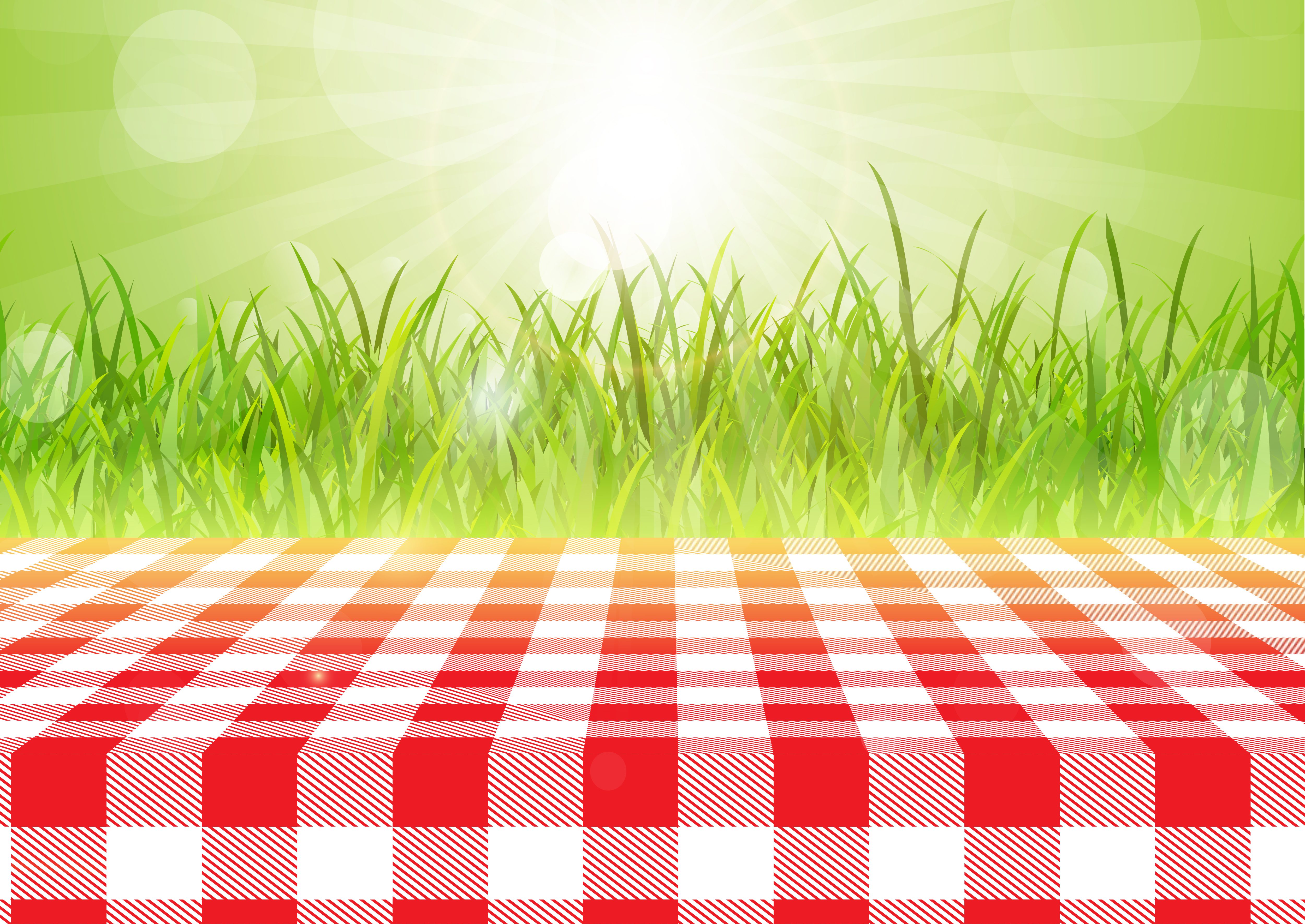 Red and white tablecloth against a defocussed background 0407 Free Vector