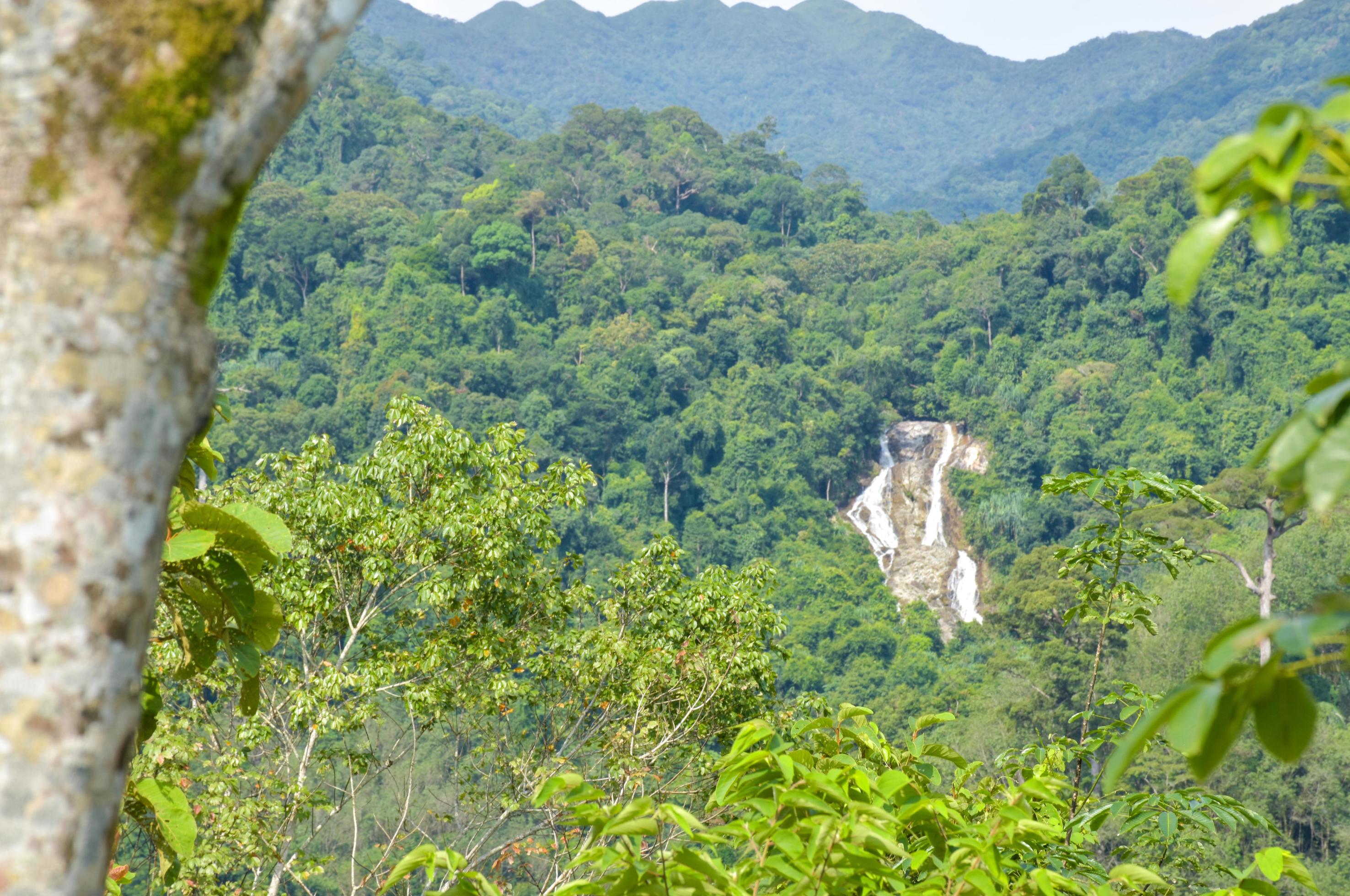 mountain and waterfall beauty nature tree foreground Stock Free