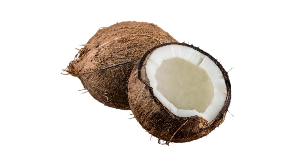 coconut on a white background Stock Free