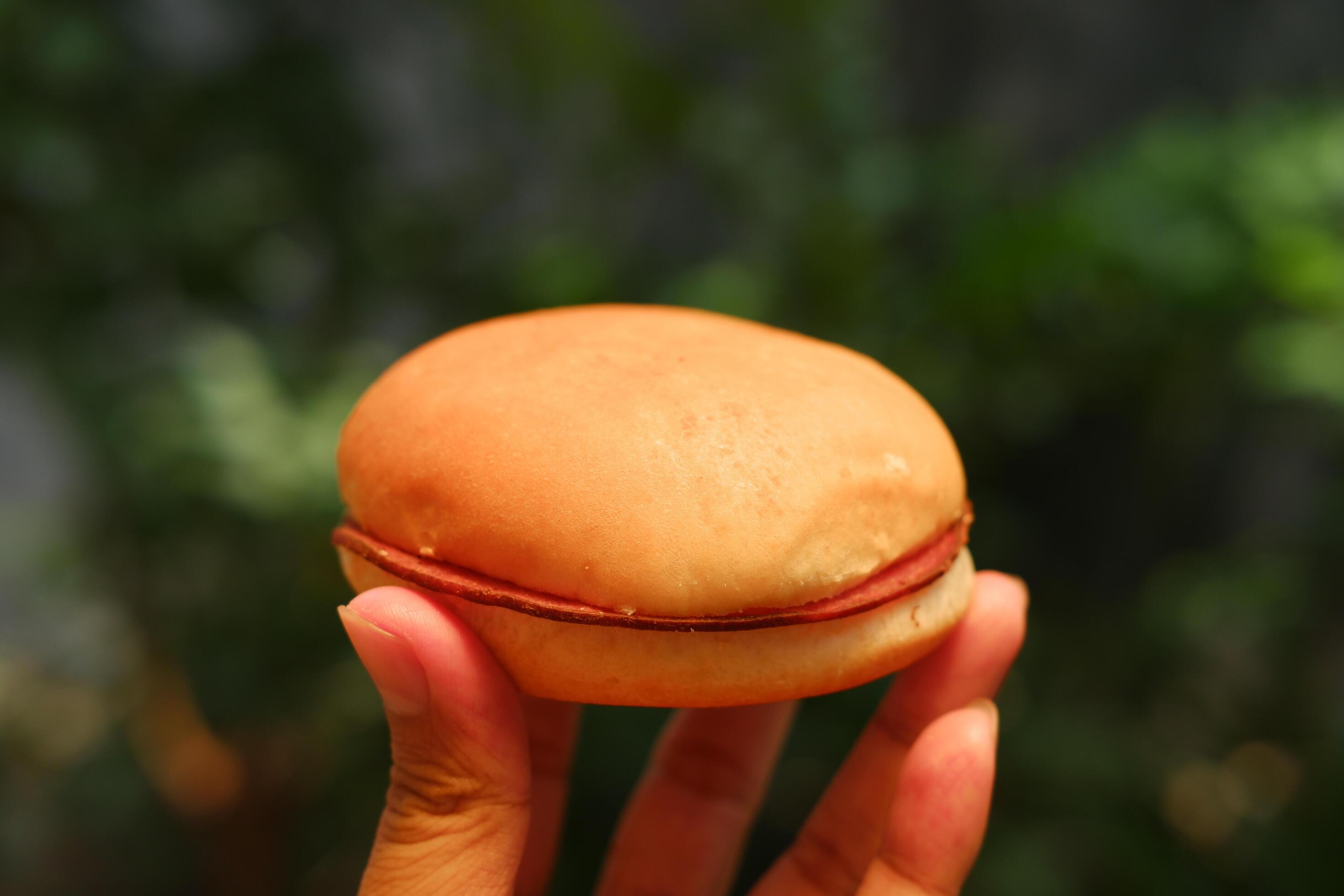 Hands holding a hamburger on a blurred background. Close up. Stock Free