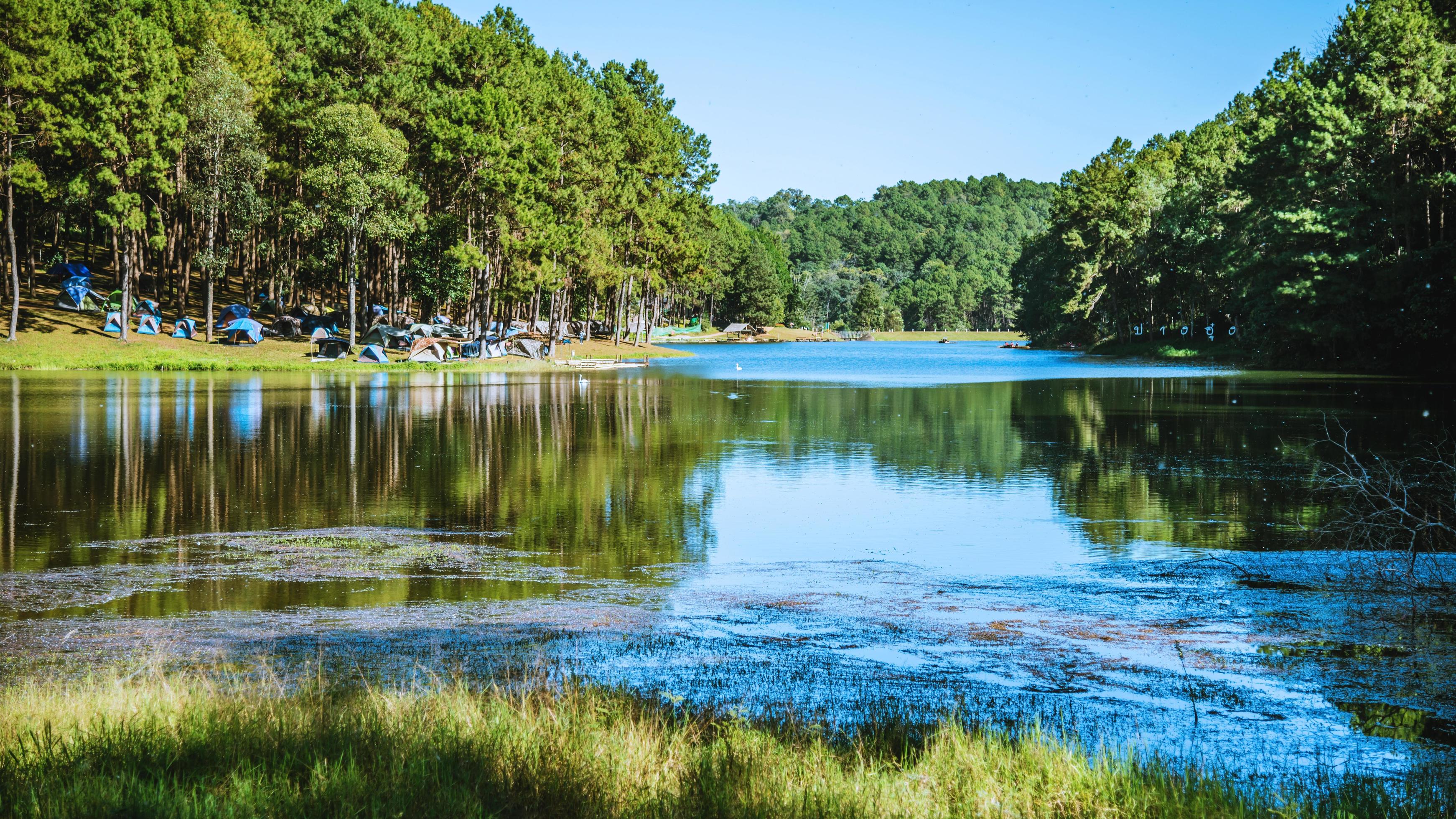 The beautiful natural landscape of the lake at pang ung, mae hong son in Thailand. Stock Free