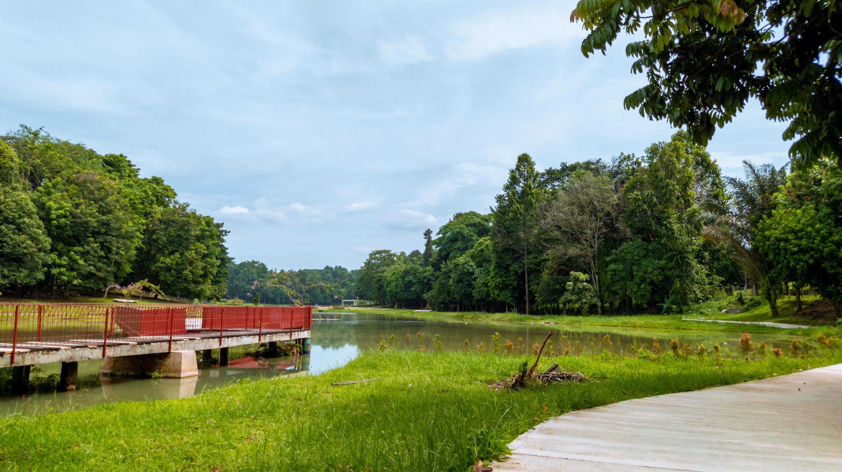 beautiful natural lanscape scenery, lake with wooden bridge, nature wallpaper, landscape background Stock Free