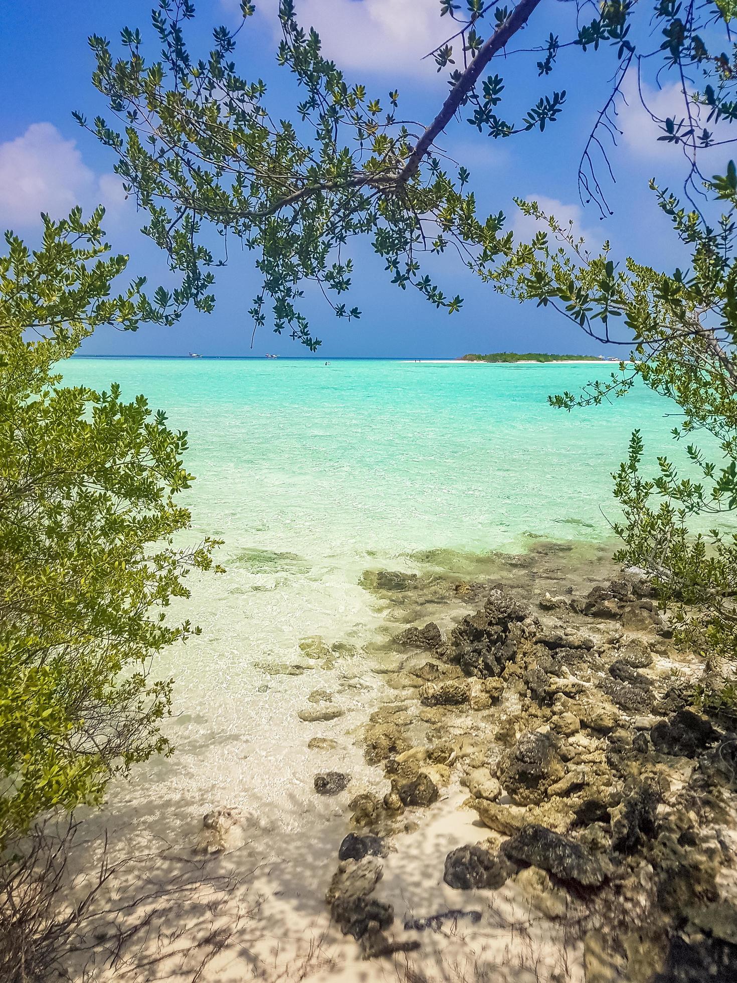 Natural tropical turquoise sandbank islands Madivaru Finolhu Rasdhoo Atoll Maldives. Stock Free