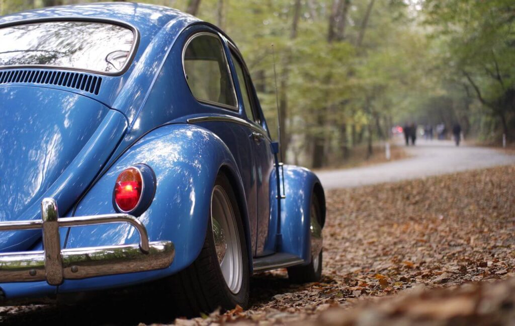 Blue Volkswagen Beetle Forest Stock Free