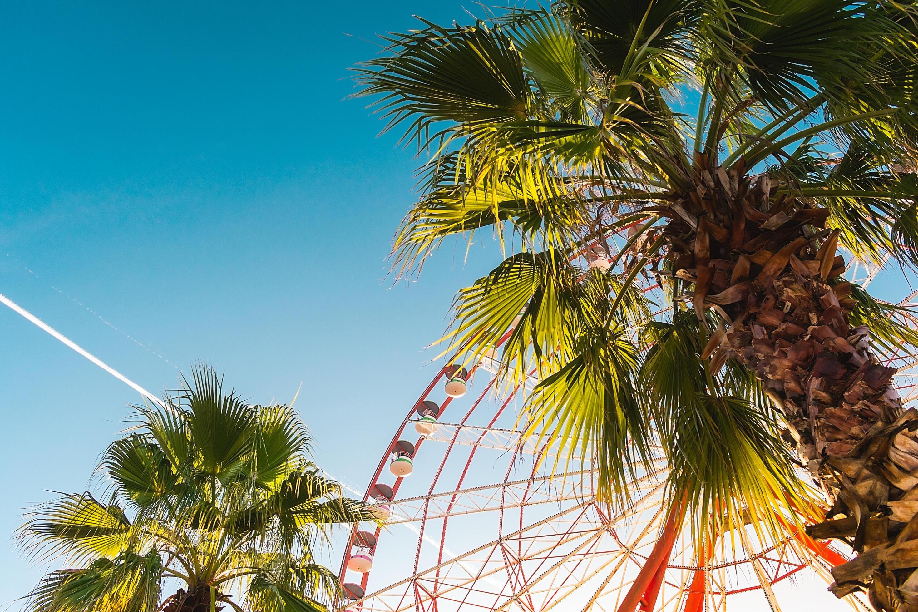 View of the Ferris wheel attraction against a background of blue sky between palm trees. Ferris wheel in the Georgian city of Batumi. Stock Free