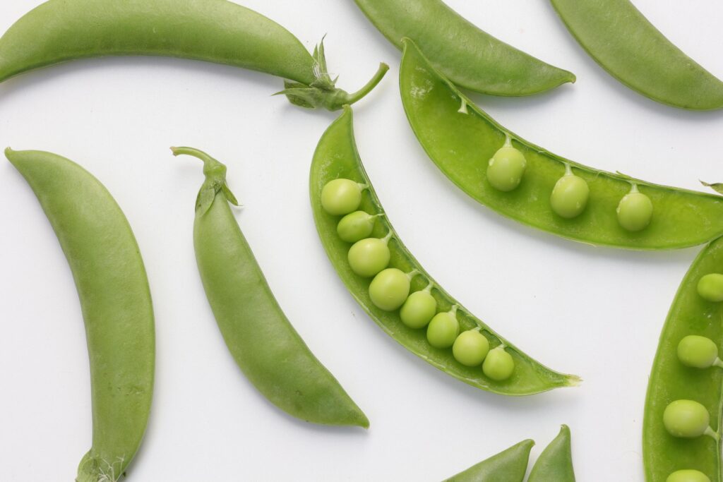 Pea on white background Stock Free