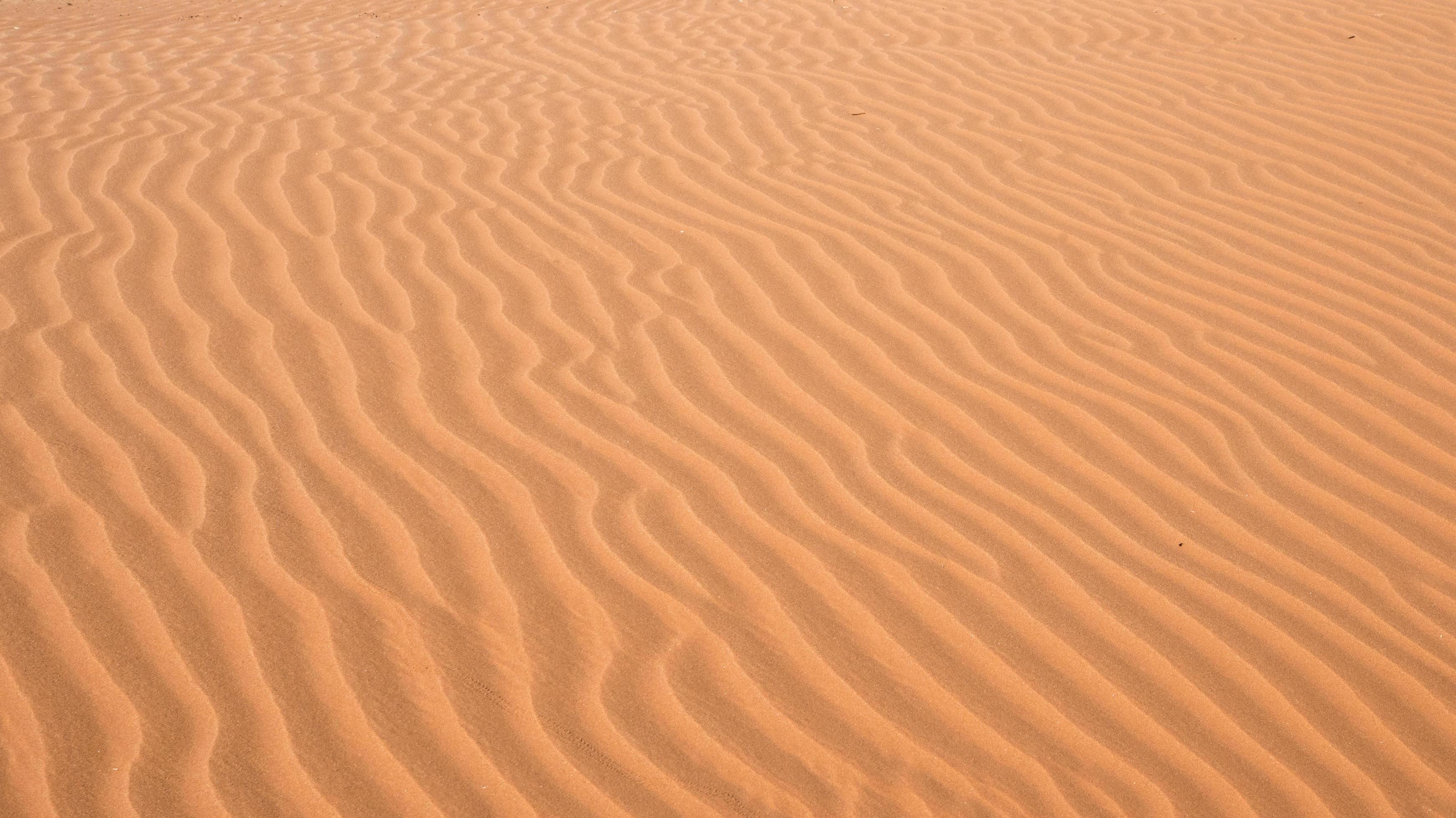 Natural sandy waves in the Namib desert. Background. Stock Free