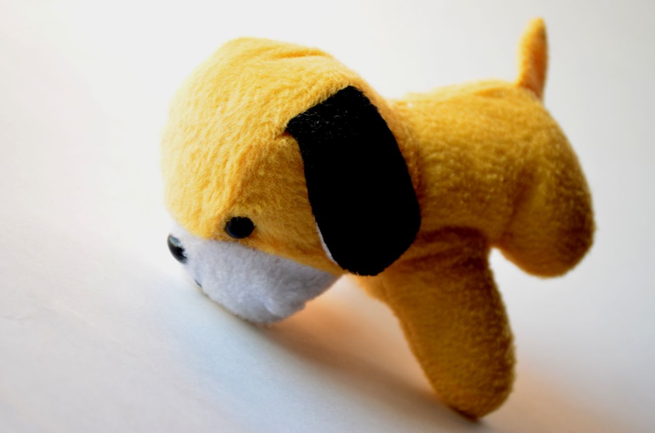 Yellow Dog Cute Stock Free