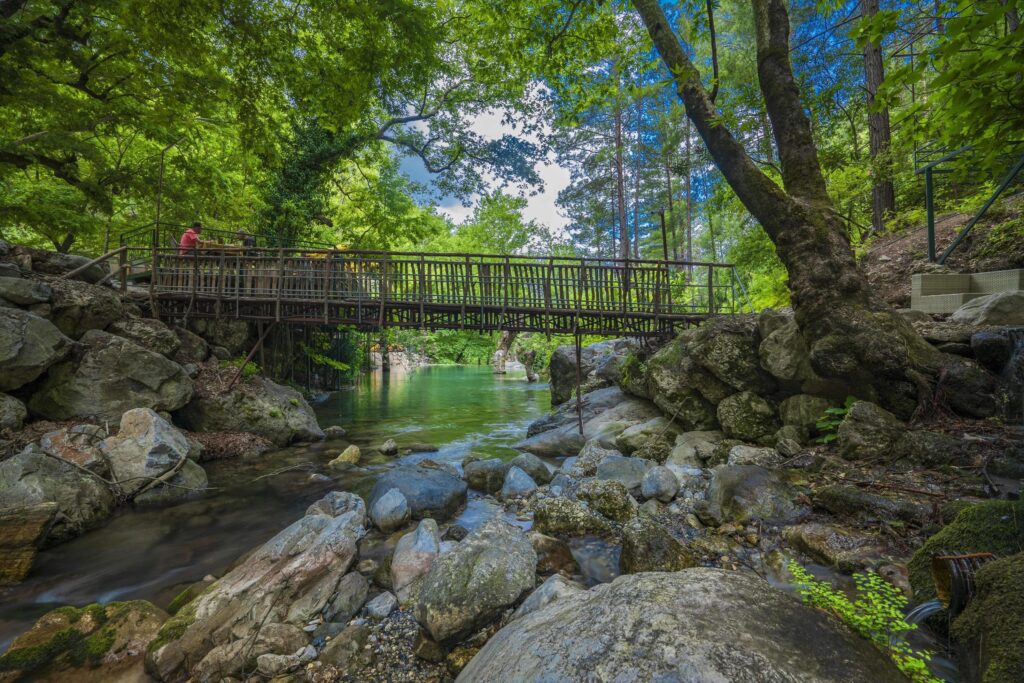 Mountain river stream waterfall green forest Landscape nature plant tree rainforest jungle Stock Free