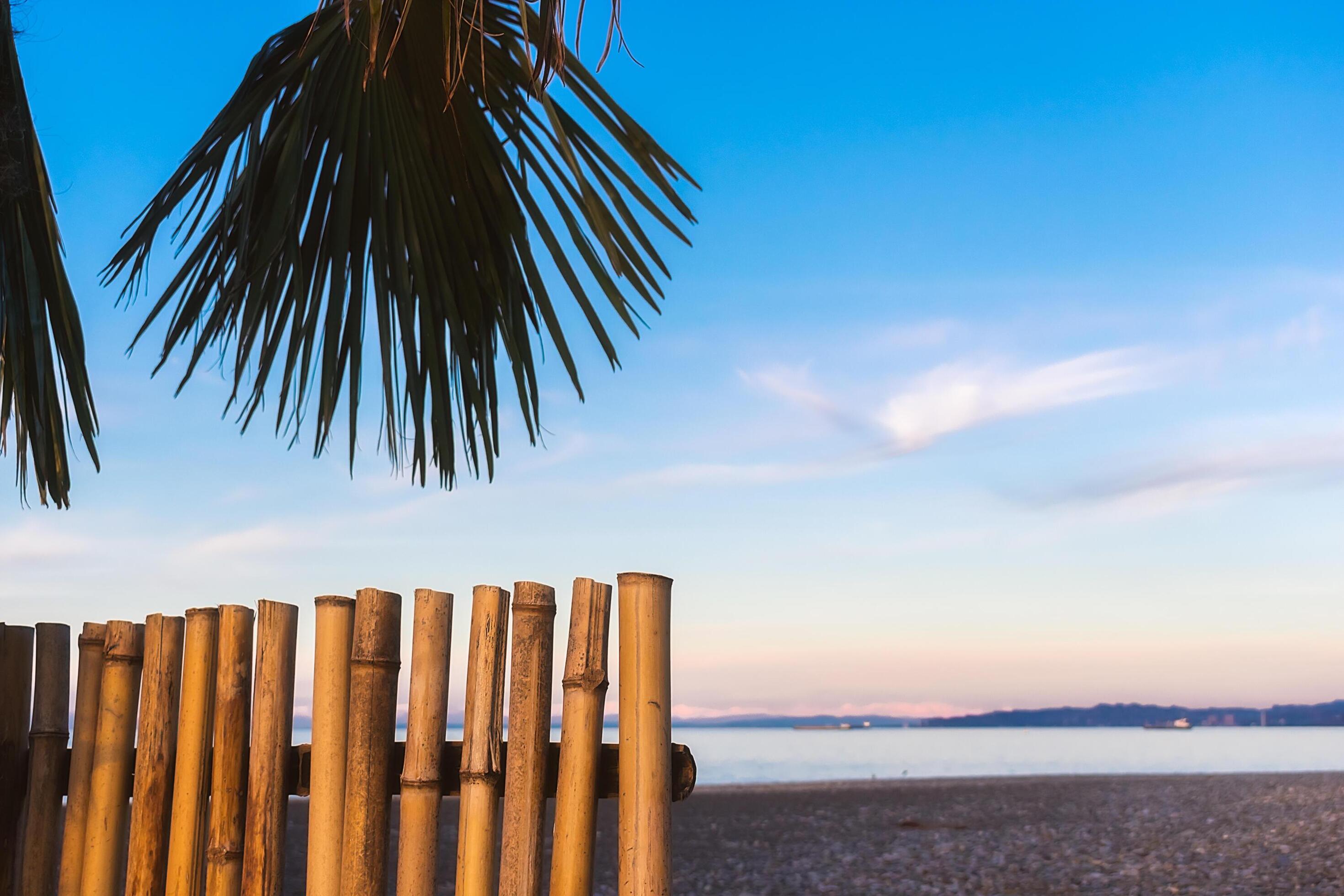 Abstract background on a tropical holiday theme. Tropical background on the seashore with palm tree and bamboo fence. Stock Free