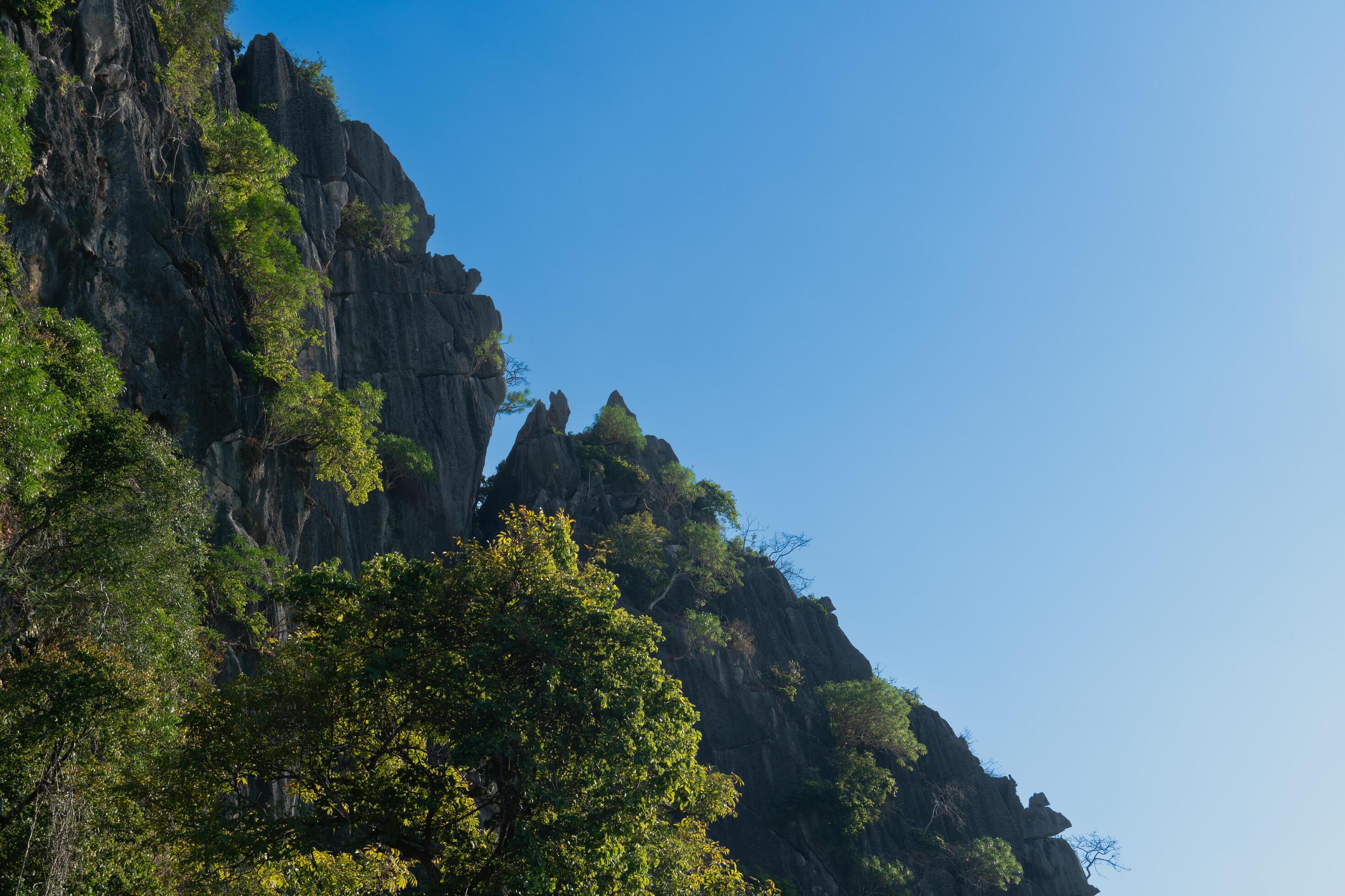 Forests that line the mountains. Background of clear blue sky. Stock Free