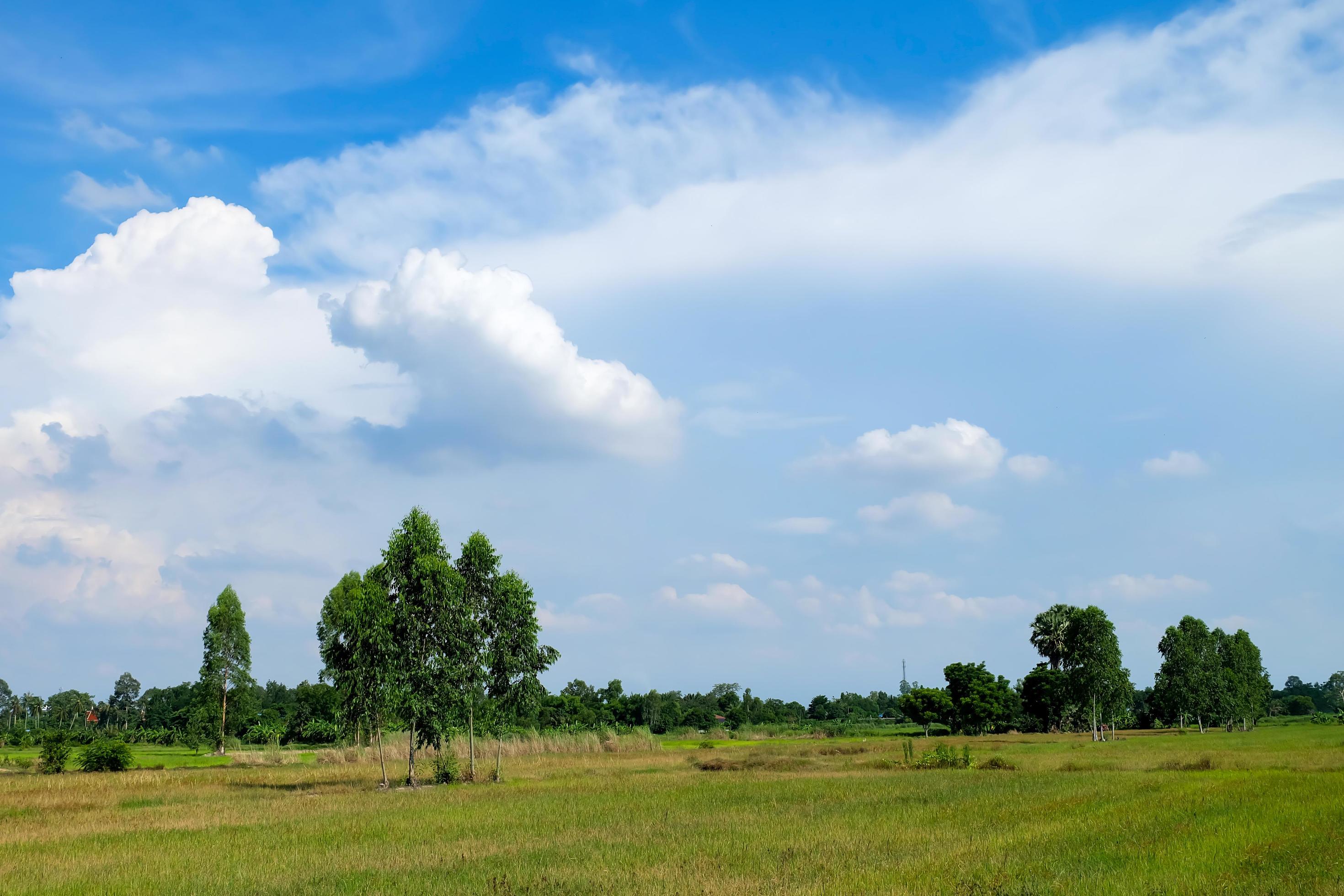 Blue sky and clouds and fields with trees, Nature landscape background in rainy season Stock Free