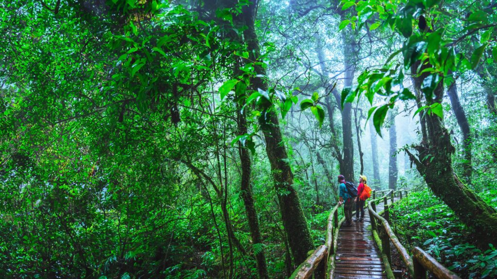 Lover asian man and asian women travel nature. Nature Study in the rain forest at Chiangmai in Thailand. Stock Free