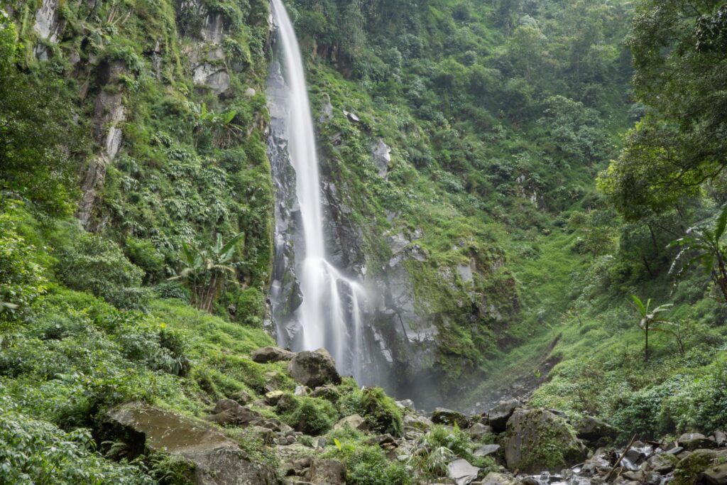 Scenery of single water fall on the tropical forest. The photo is suitable to use for adventure content media, nature poster and forest background. Stock Free