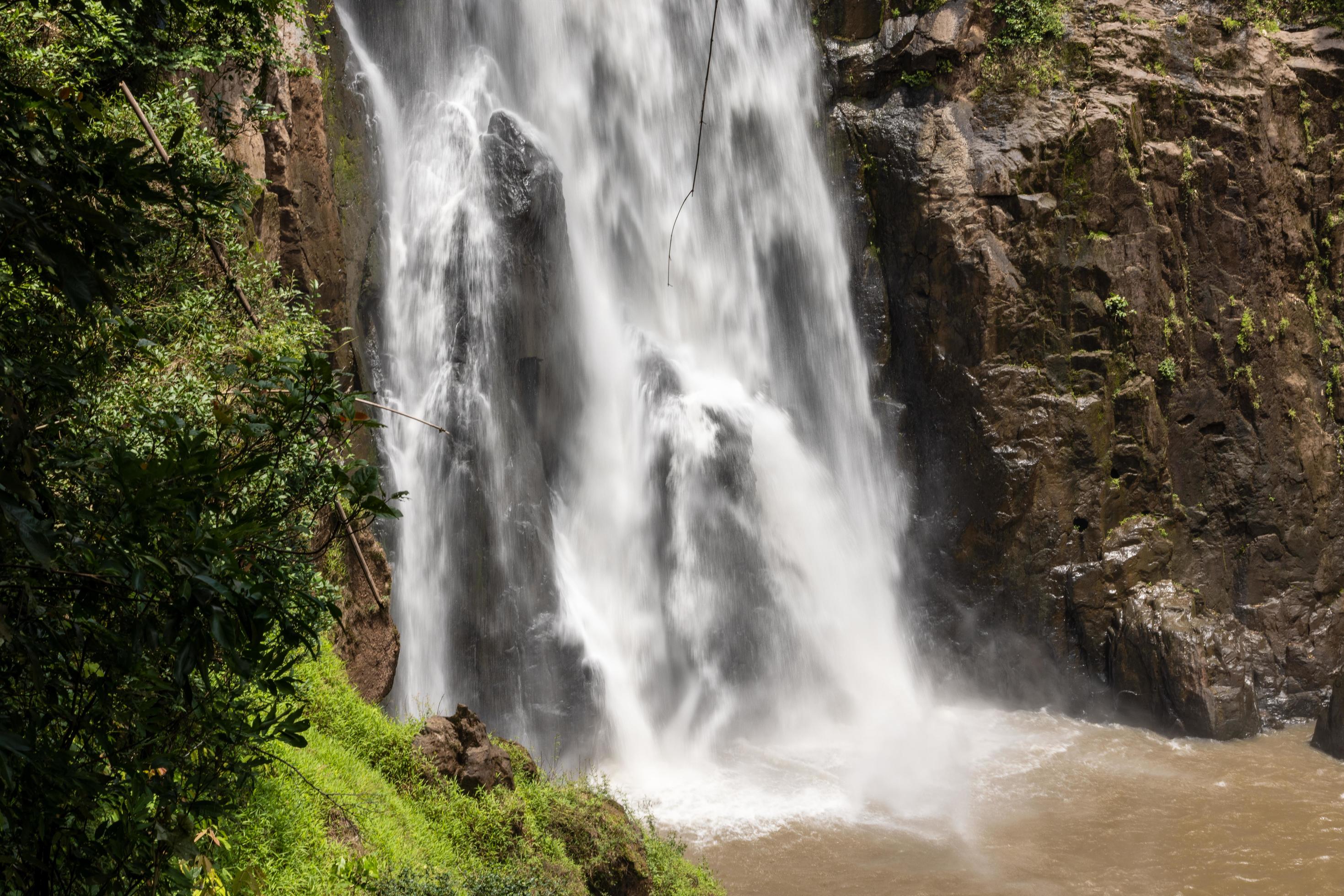 A natural waterfall in a big forest in the midst of beautiful nature. Stock Free