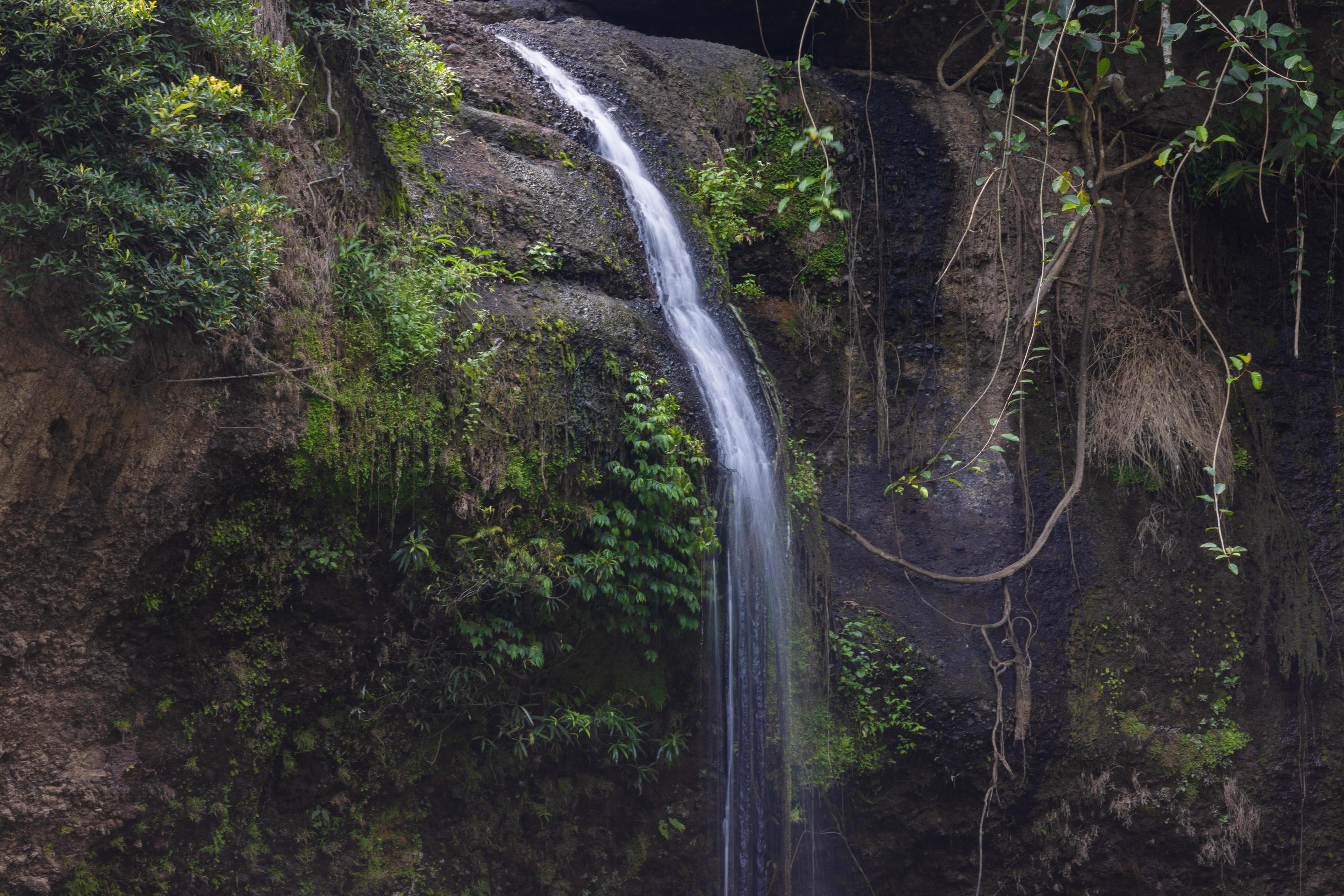 A natural waterfall in a big forest in the midst of beautiful nature. Stock Free