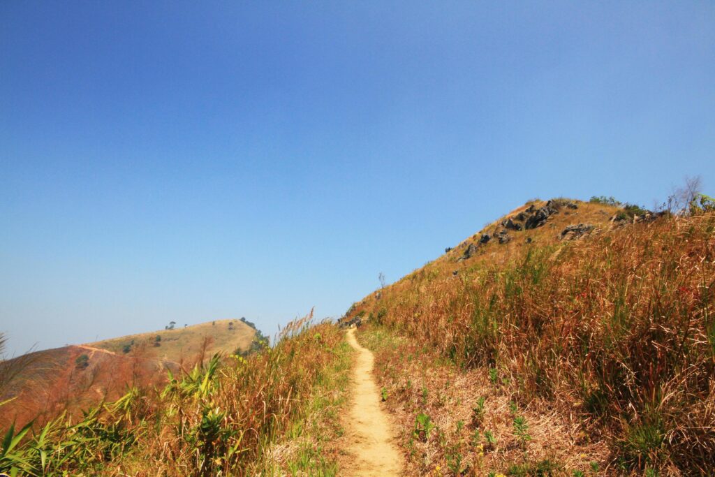 Natural footpath and dry grassland on the mountain at Doi Pha Tang hill in Thailand Stock Free