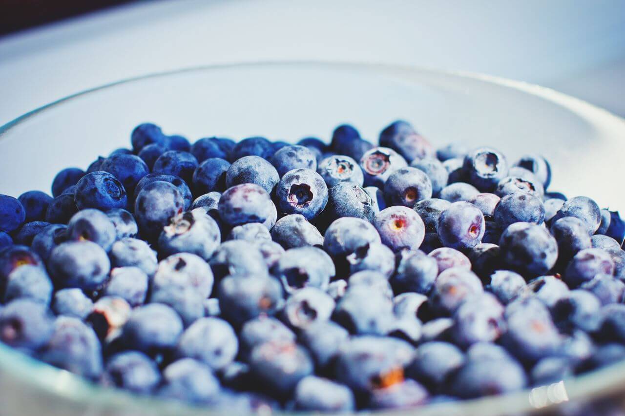 Blueberries Bowl Stock Free