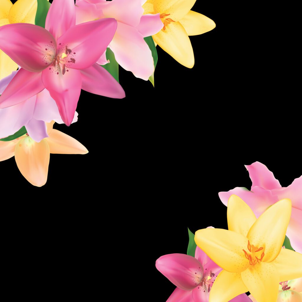 Vector Illustration with Lily Flowers Isolated on Black Background Free Vector