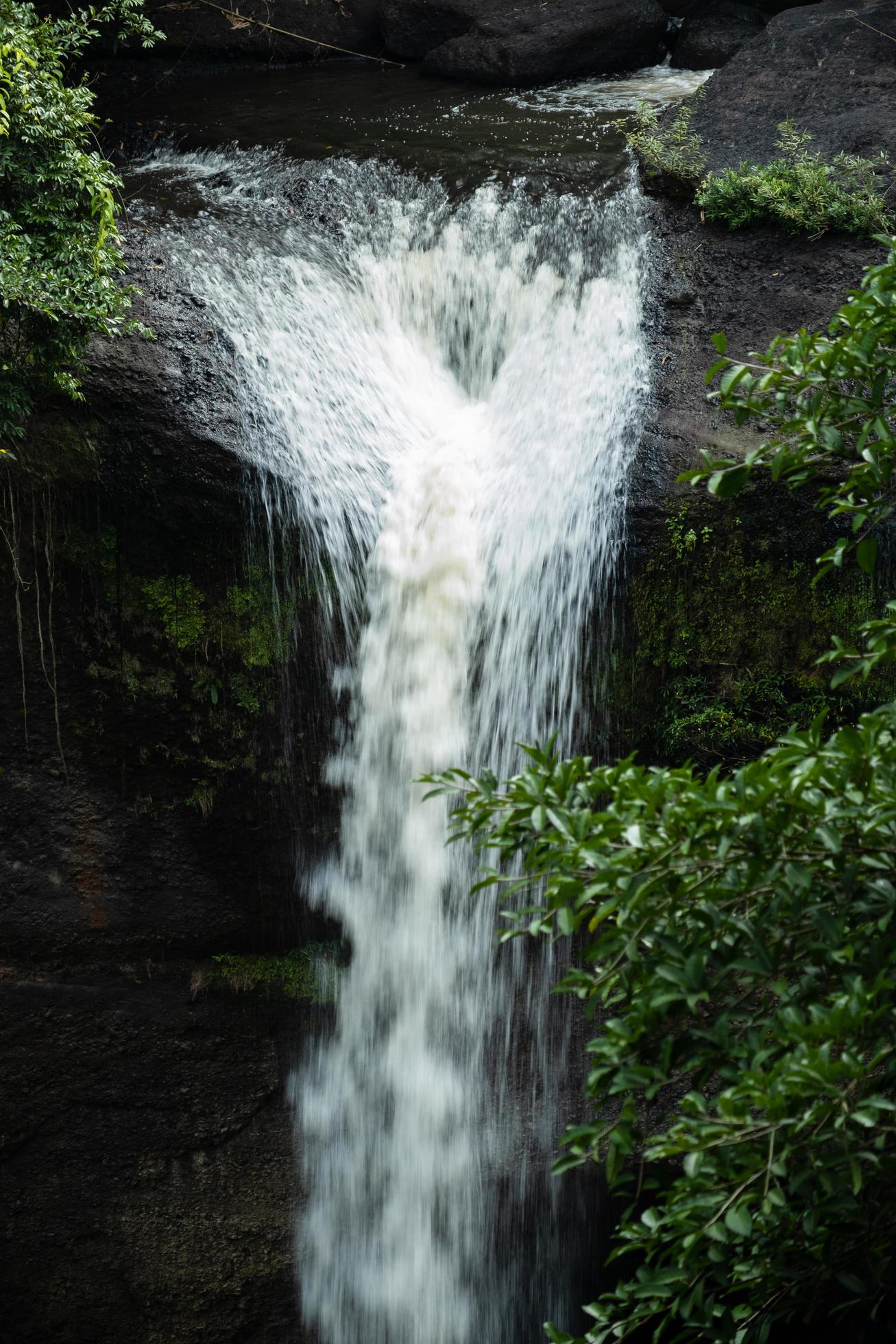 A natural waterfall in a big forest in the midst of beautiful nature. Stock Free