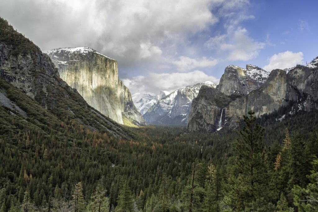 Landscape photography of green leaf trees and rocky mountains Stock Free