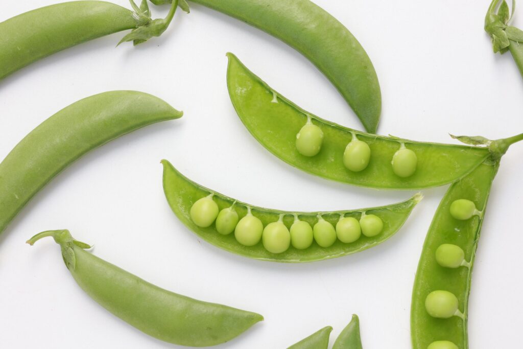 Pea on white background Stock Free