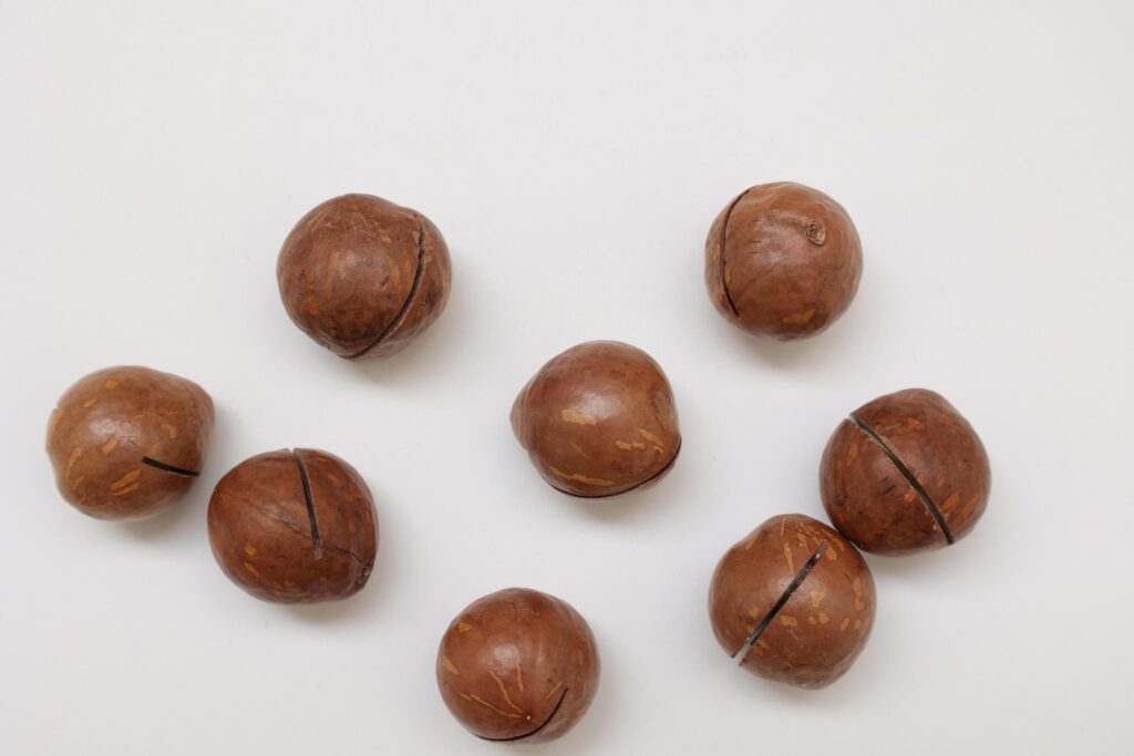 Macadamia nuts seeds background Stock Free