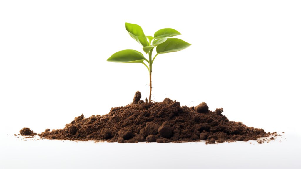 A single green shoot growing from a clump of dirt, isolated on a white background, with space for environmental text. Stock Free