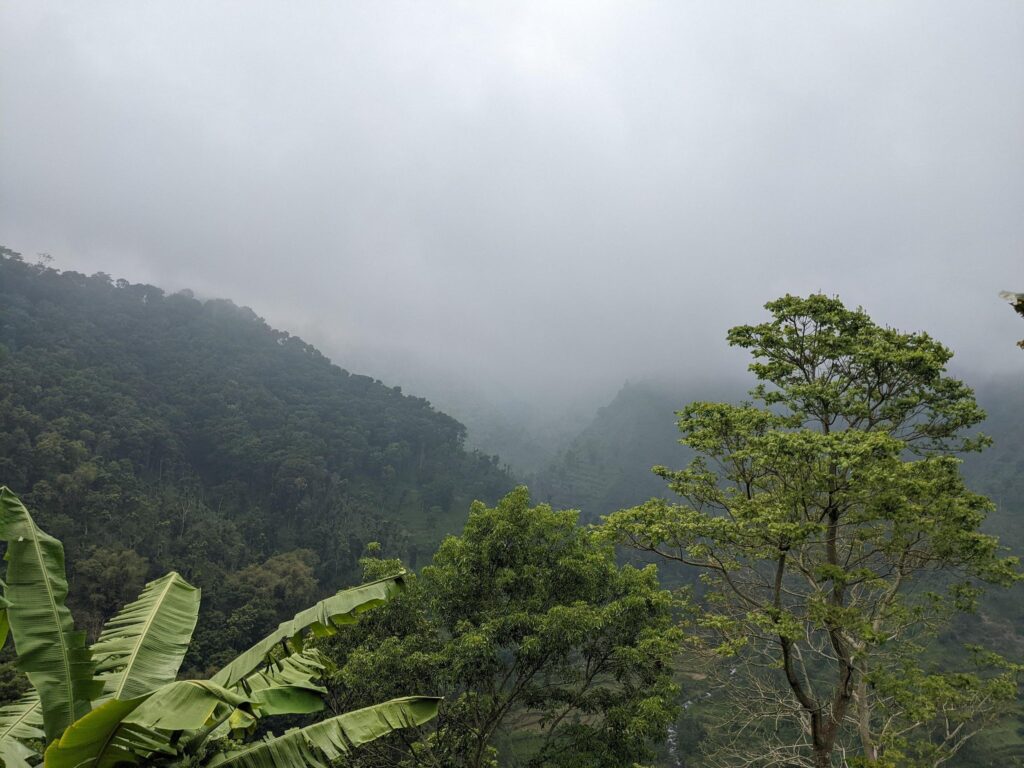 Landscape photo of mountain with fogging forest and cloudy sky. The photo is suitable to use for climate changes poster and nature background. Stock Free