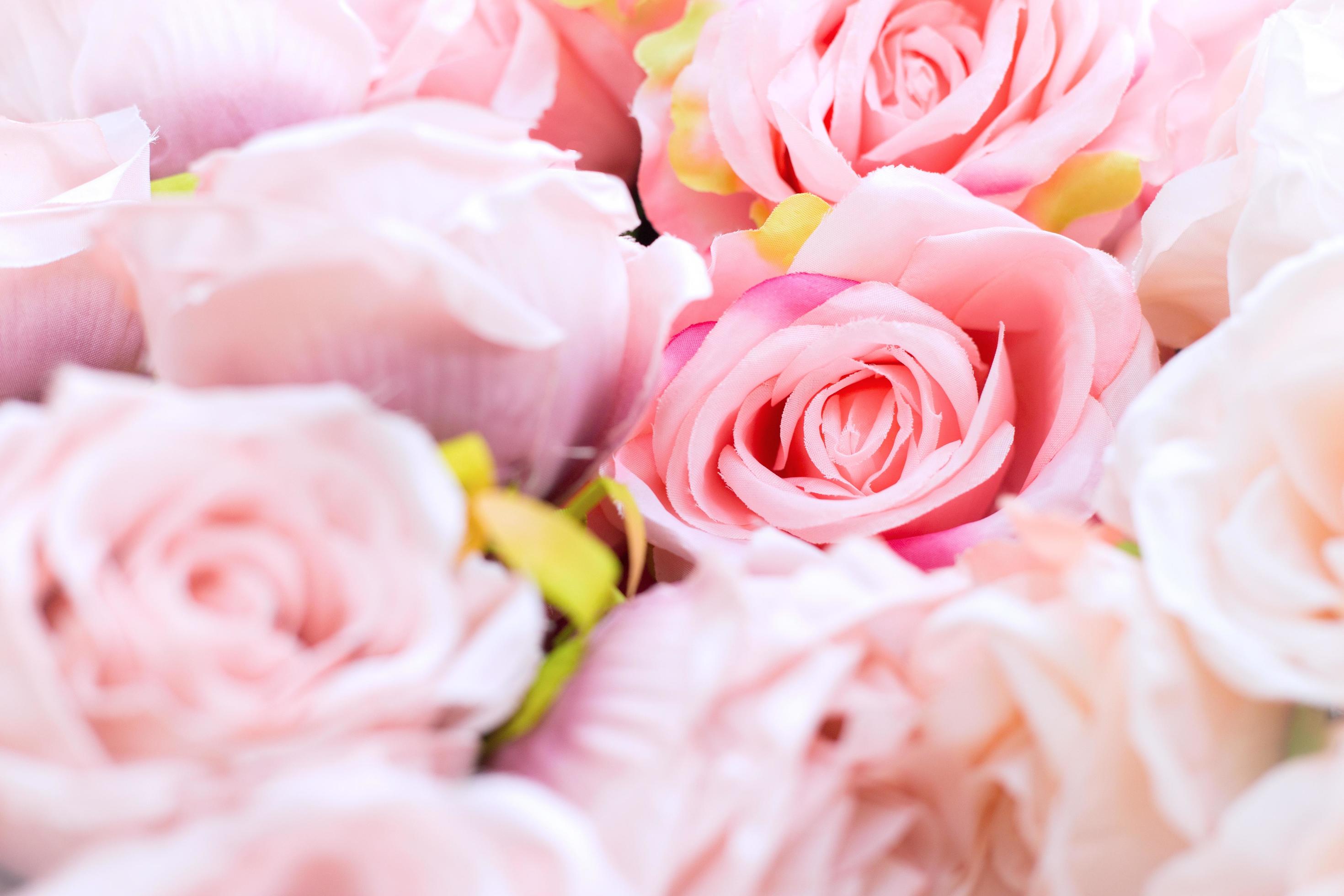 Pink rose flowers bouquet Stock Free