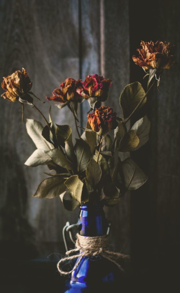 vase with dried roses flower Stock Free