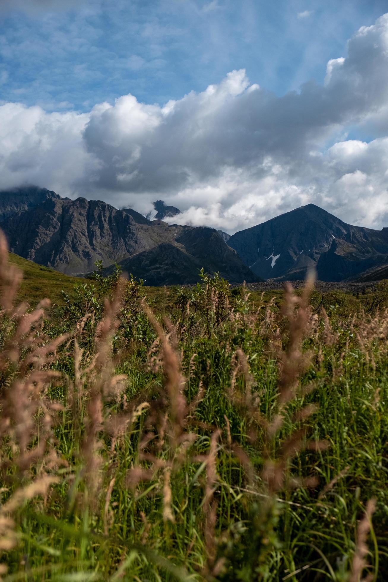 Nature landscape in Alaska Stock Free