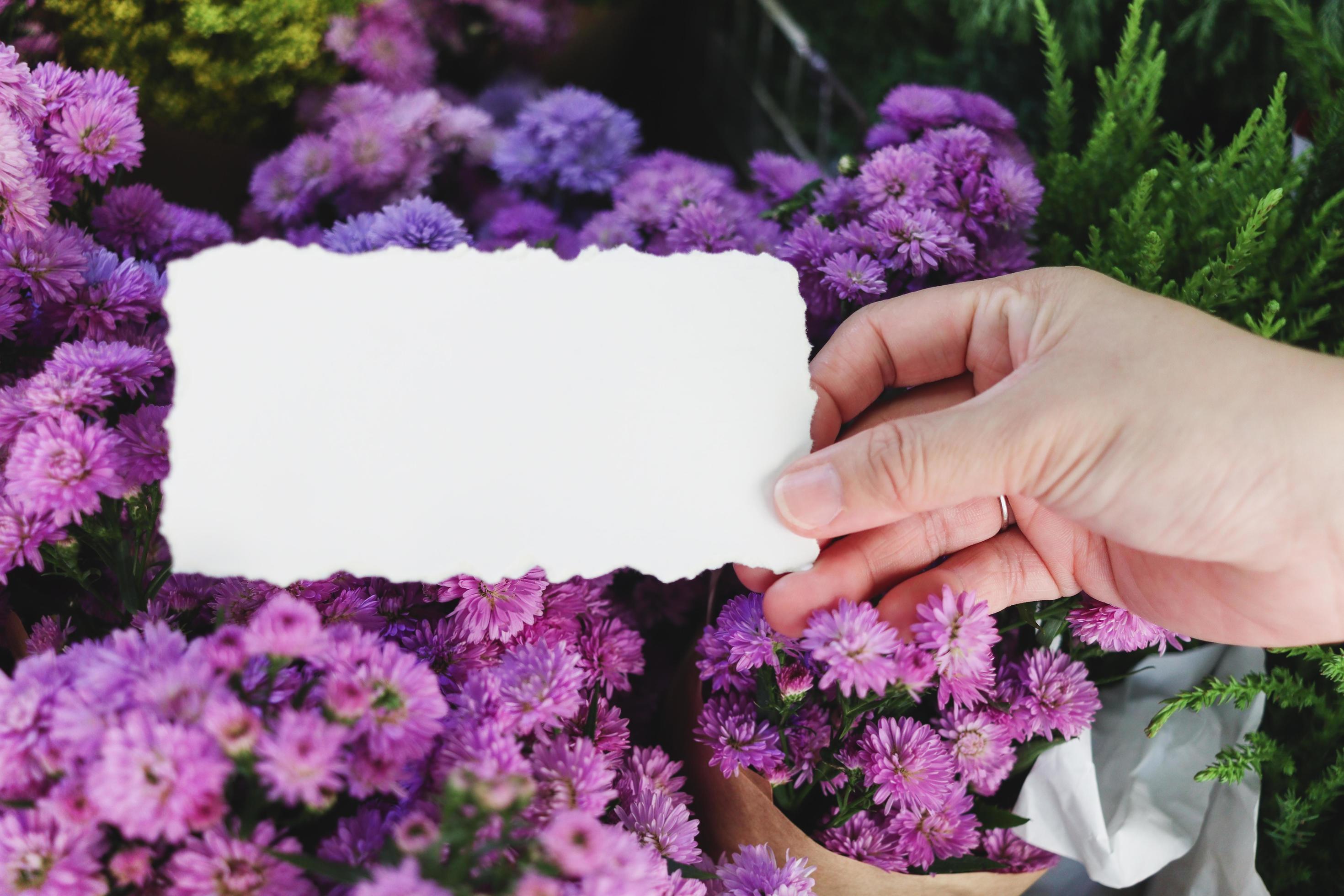 Blank note paper in hand on beautiful purple margaret flower bouquet background, copy-space on card to put your message. Stock Free